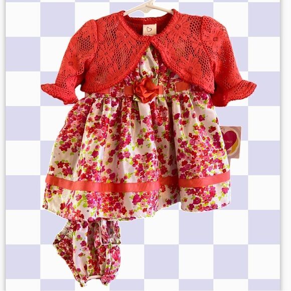 Baby Girl’s New with tags spring summer dress and sweater set size 9 months - Picture 1 of 15